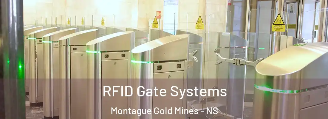  RFID Gate Systems Montague Gold Mines - NS