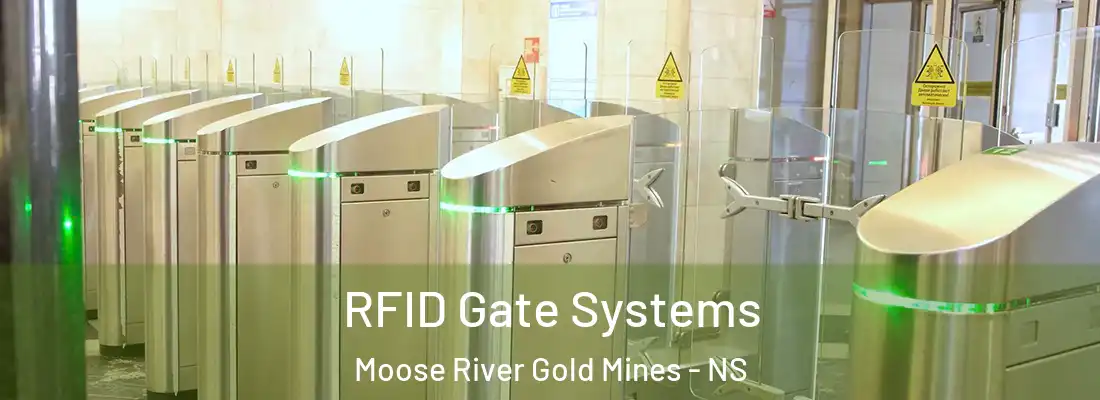 RFID Gate Systems Moose River Gold Mines - NS