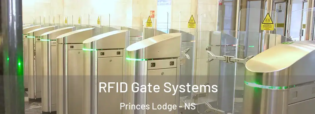 RFID Gate Systems Princes Lodge - NS