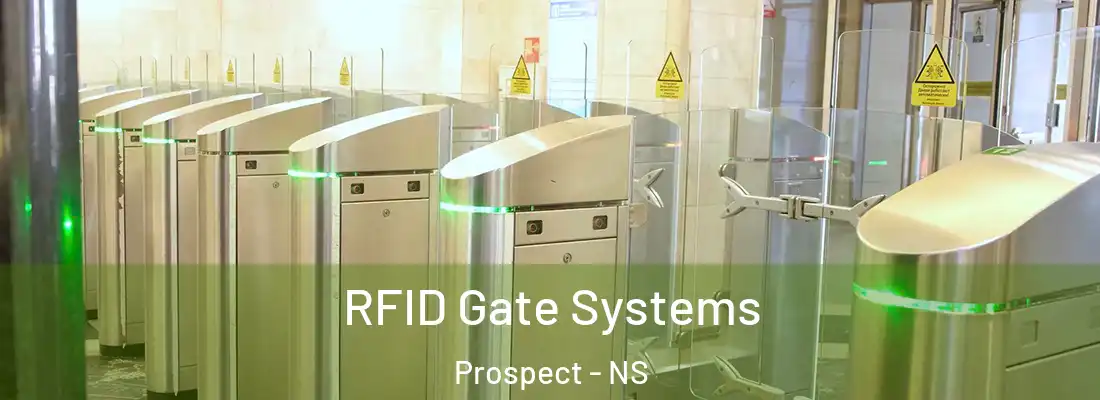 RFID Gate Systems Prospect - NS