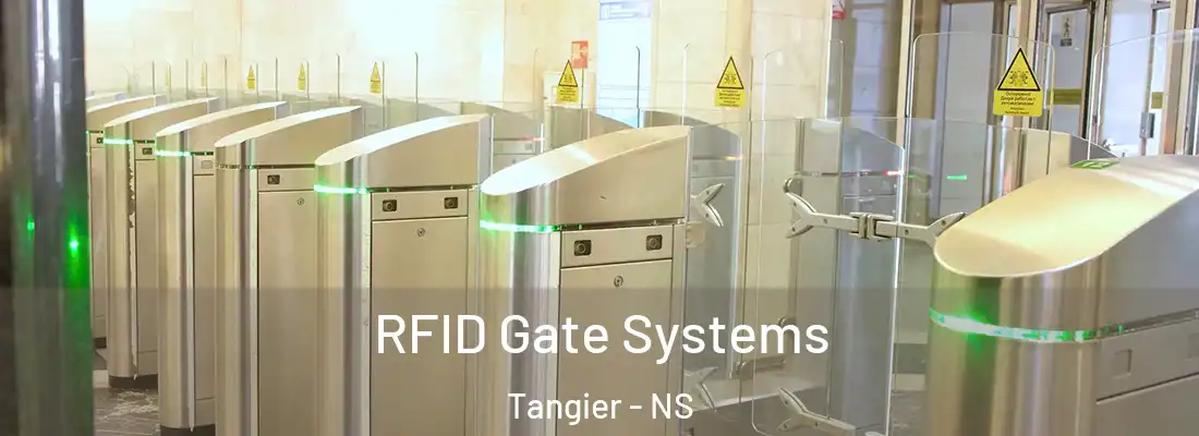 RFID Gate Systems Tangier - NS