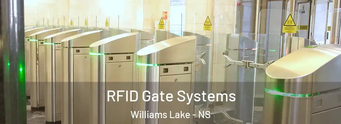 RFID Gate Systems Williams Lake - NS