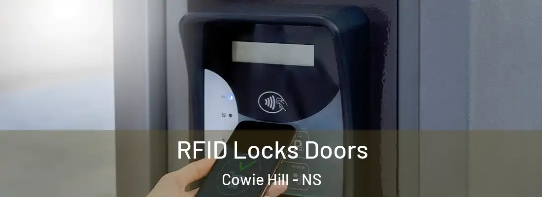 RFID Locks Doors Cowie Hill - NS