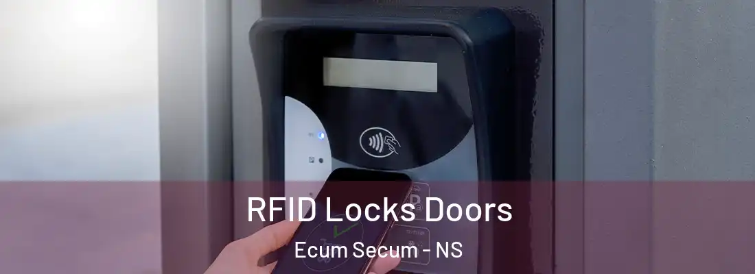 RFID Locks Doors Ecum Secum - NS