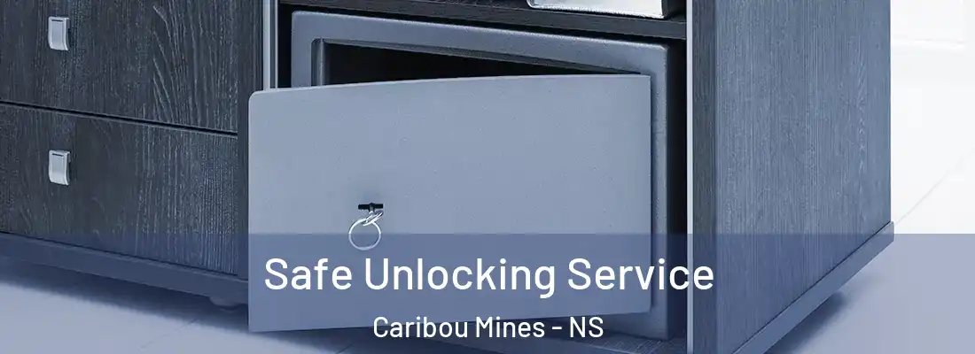 Safe Unlocking Service Caribou Mines - NS