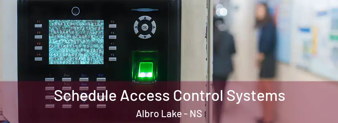 Schedule Access Control Systems Albro Lake - NS