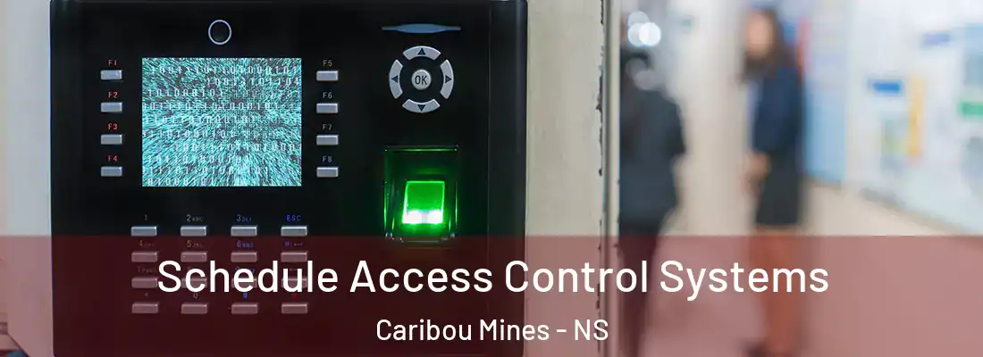 Schedule Access Control Systems Caribou Mines - NS