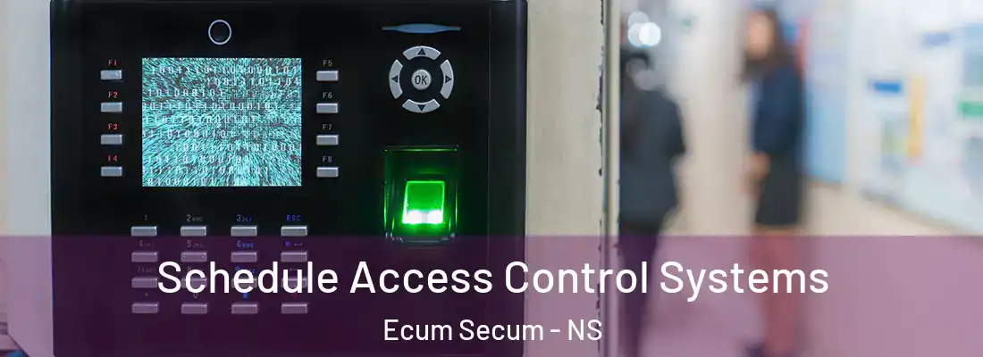 Schedule Access Control Systems Ecum Secum - NS