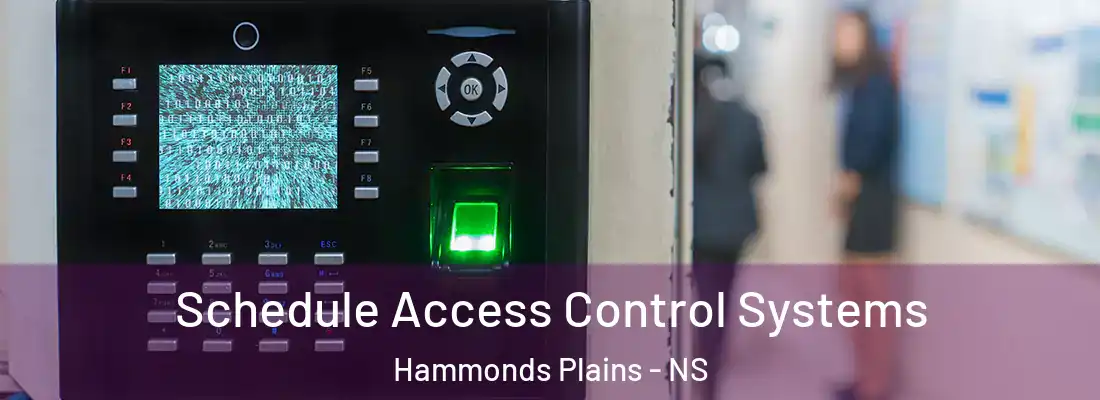 Schedule Access Control Systems Hammonds Plains - NS