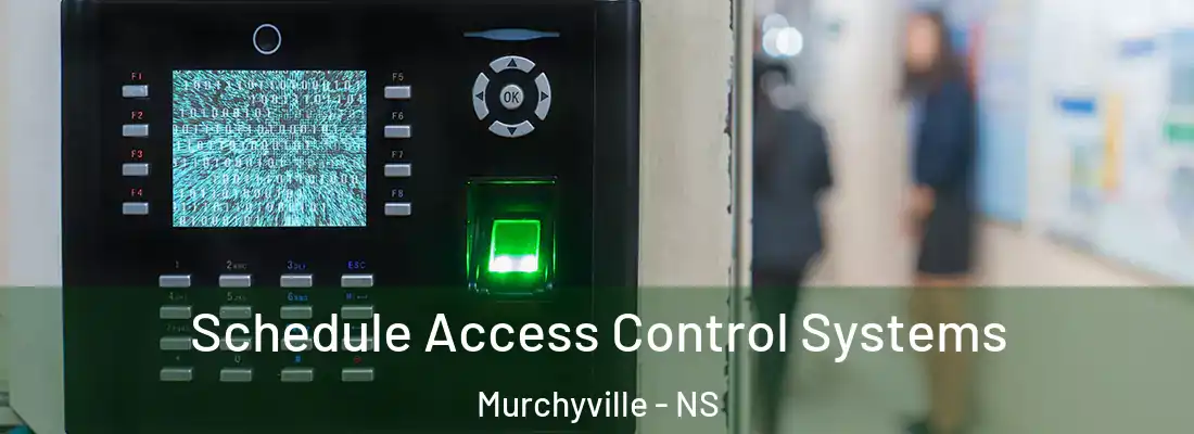 Schedule Access Control Systems Murchyville - NS