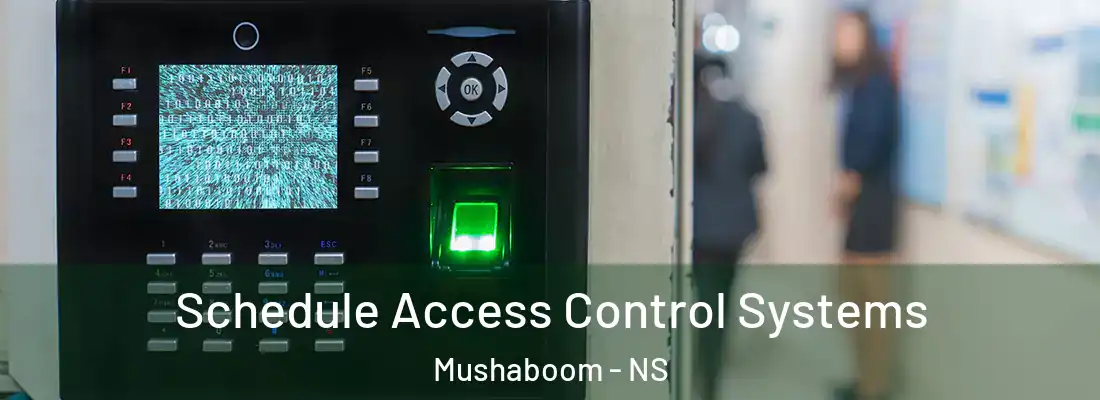Schedule Access Control Systems Mushaboom - NS