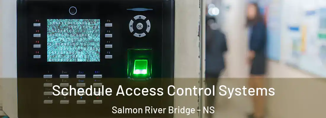 Schedule Access Control Systems Salmon River Bridge - NS