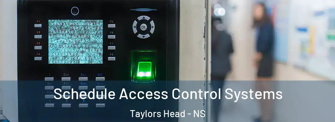 Schedule Access Control Systems Taylors Head - NS