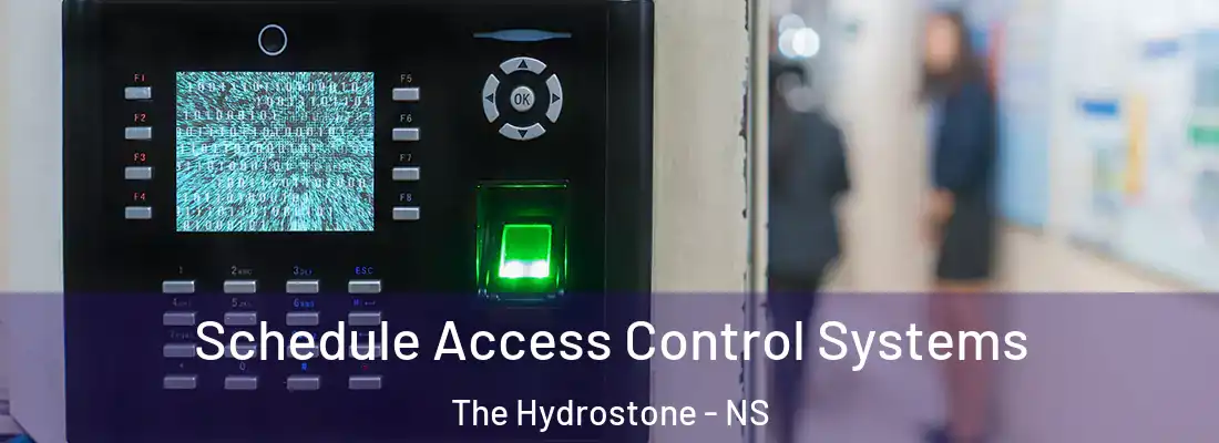 Schedule Access Control Systems The Hydrostone - NS