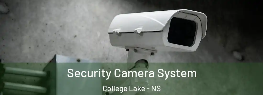 Security Camera System College Lake - NS