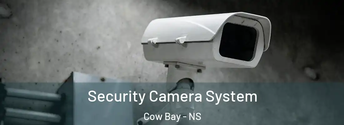 Security Camera System Cow Bay - NS