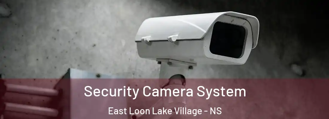 Security Camera System East Loon Lake Village - NS
