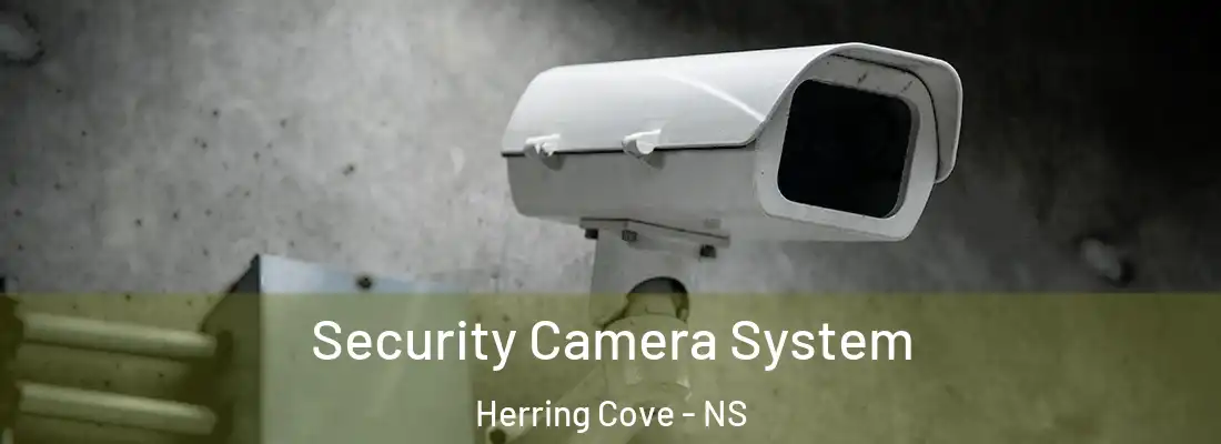 Security Camera System Herring Cove - NS