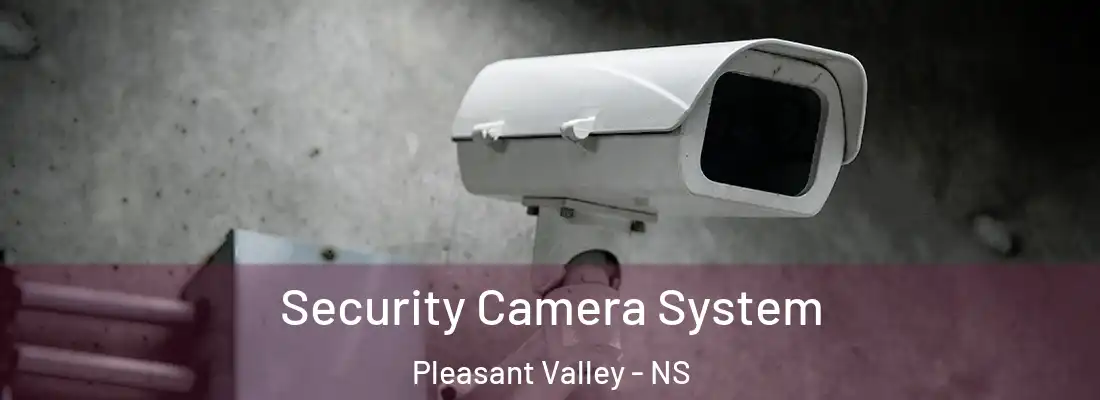 Security Camera System Pleasant Valley - NS