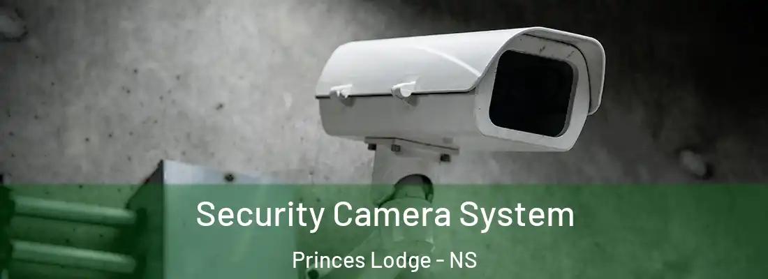 Security Camera System Princes Lodge - NS