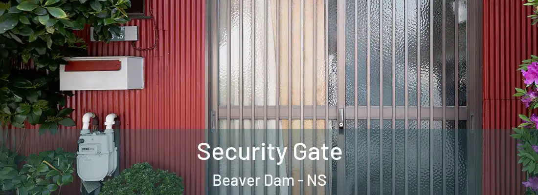 Security Gate Beaver Dam - NS