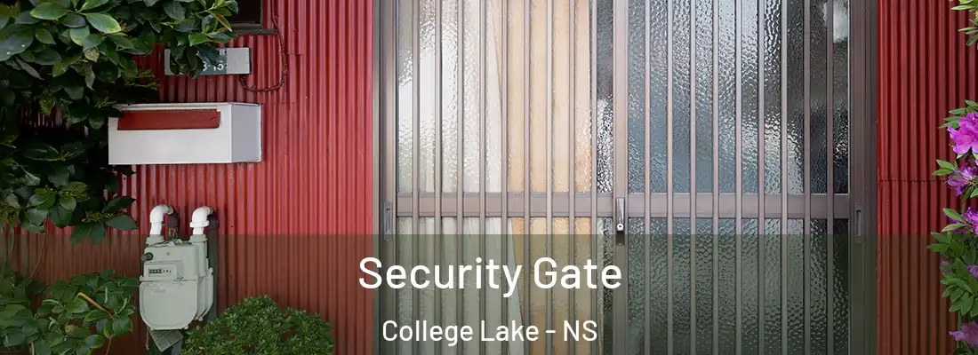 Security Gate College Lake - NS