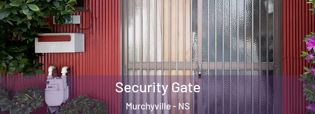 Security Gate Murchyville - NS