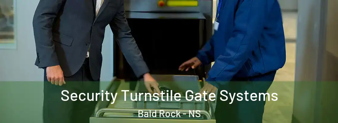 Security Turnstile Gate Systems Bald Rock - NS