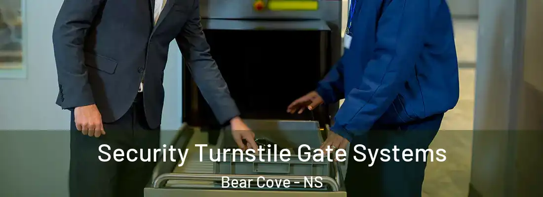  Security Turnstile Gate Systems Bear Cove - NS