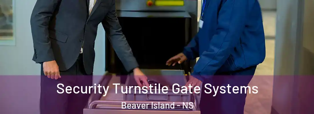 Security Turnstile Gate Systems Beaver Island - NS