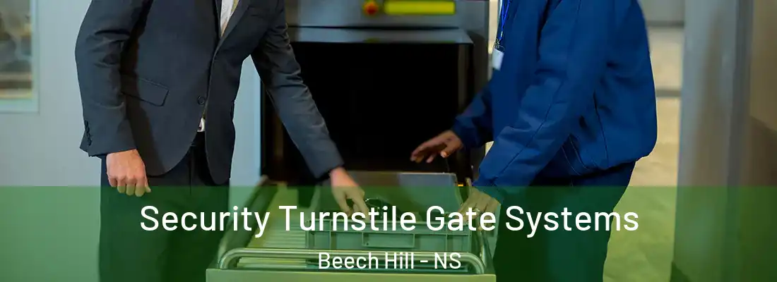 Security Turnstile Gate Systems Beech Hill - NS