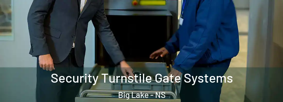  Security Turnstile Gate Systems Big Lake - NS