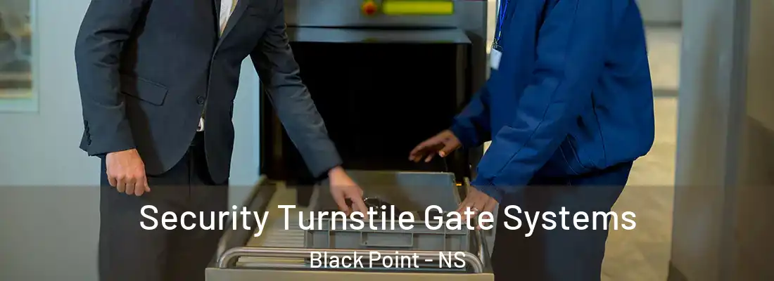 Security Turnstile Gate Systems Black Point - NS