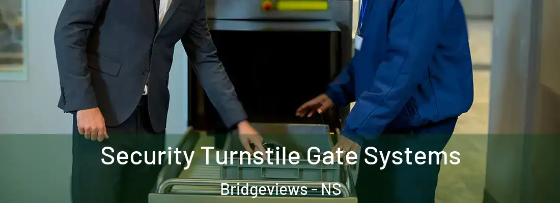 Security Turnstile Gate Systems Bridgeviews - NS