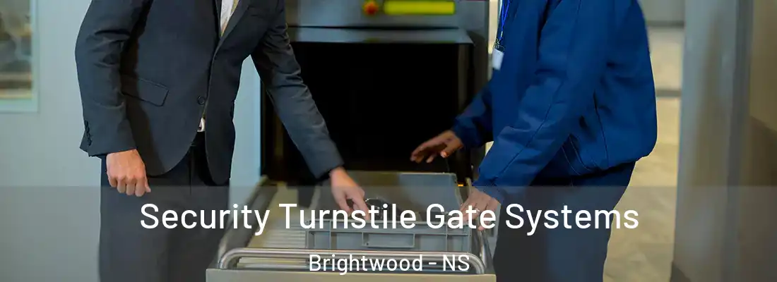 Security Turnstile Gate Systems Brightwood - NS