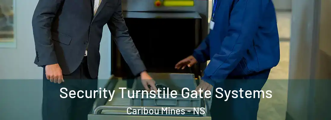 Security Turnstile Gate Systems Caribou Mines - NS