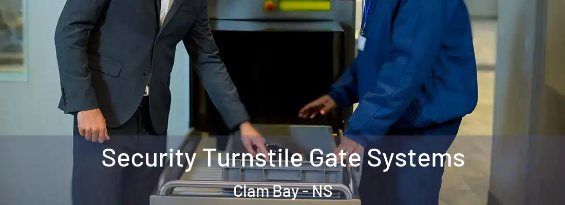 Security Turnstile Gate Systems Clam Bay - NS
