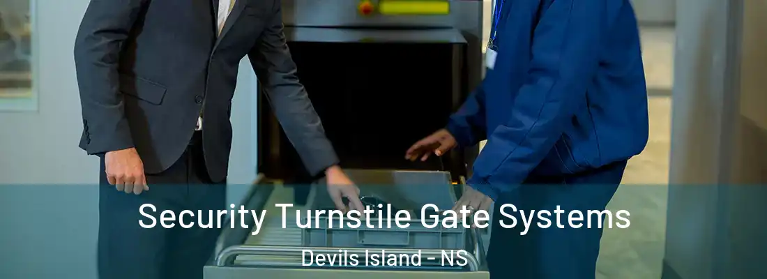 Security Turnstile Gate Systems Devils Island - NS