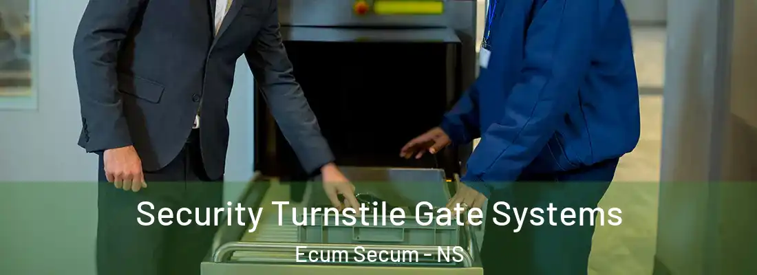  Security Turnstile Gate Systems Ecum Secum - NS