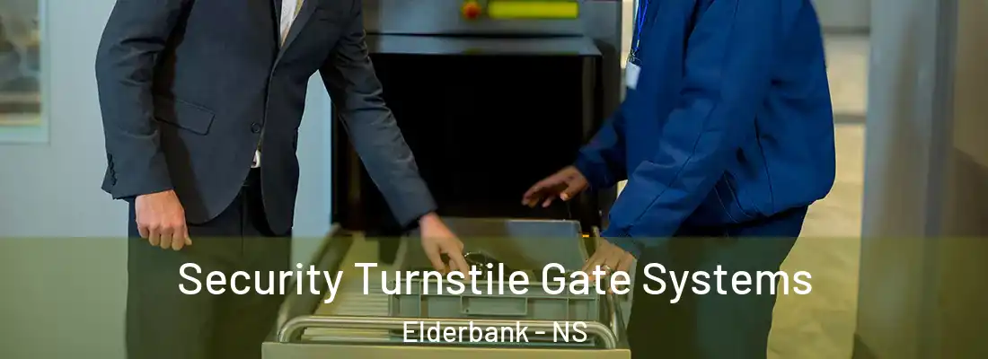 Security Turnstile Gate Systems Elderbank - NS