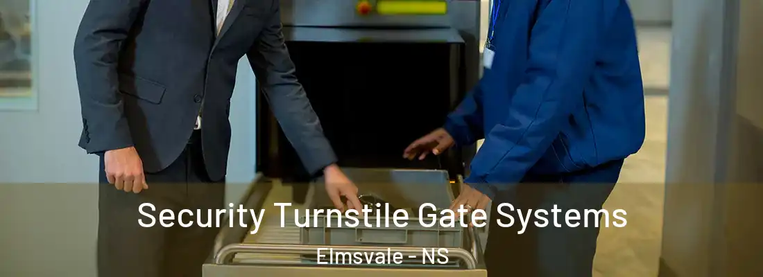 Security Turnstile Gate Systems Elmsvale - NS