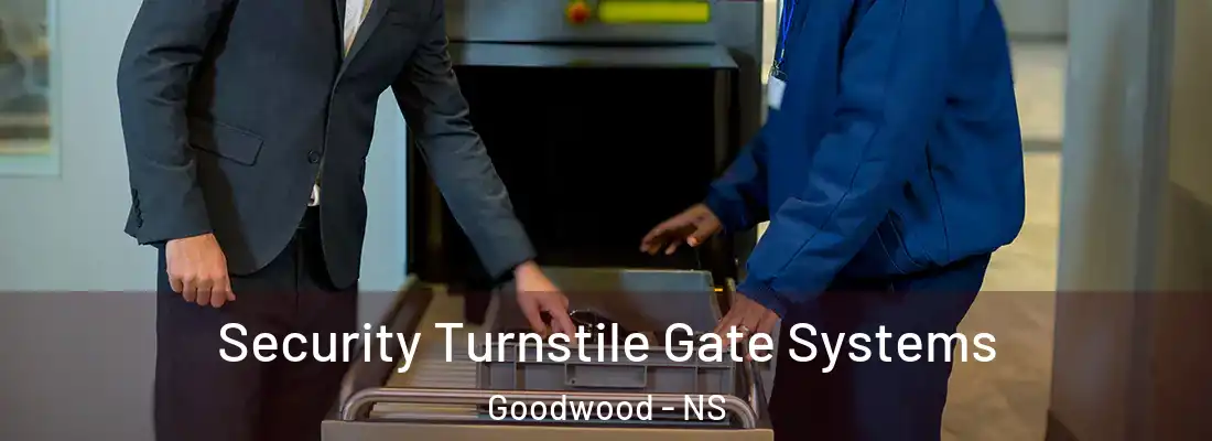  Security Turnstile Gate Systems Goodwood - NS