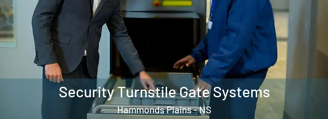 Security Turnstile Gate Systems Hammonds Plains - NS