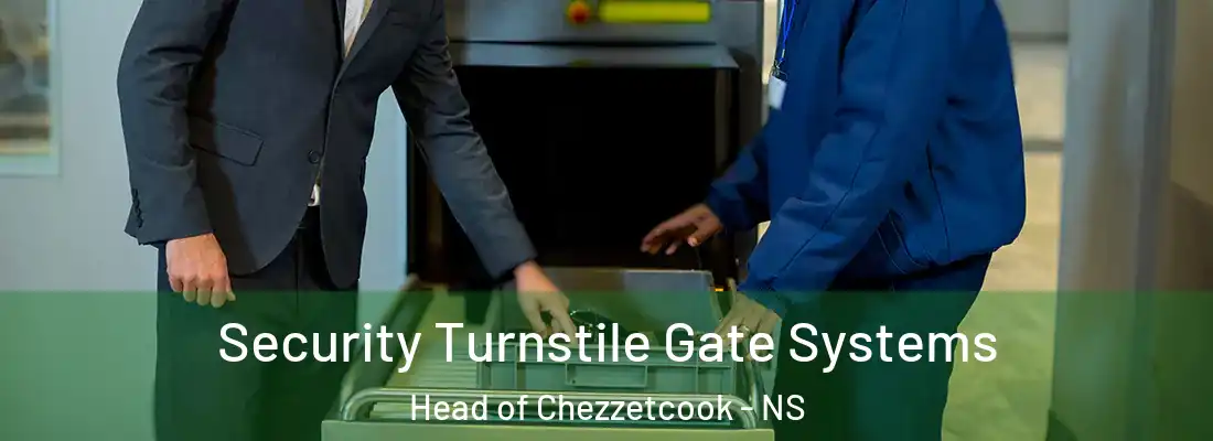 Security Turnstile Gate Systems Head of Chezzetcook - NS
