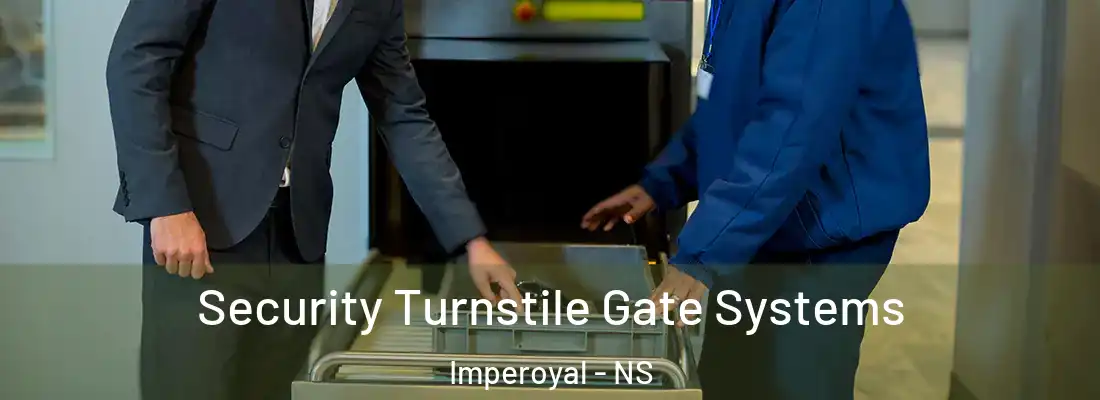 Security Turnstile Gate Systems Imperoyal - NS