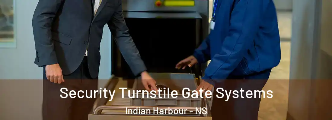 Security Turnstile Gate Systems Indian Harbour - NS