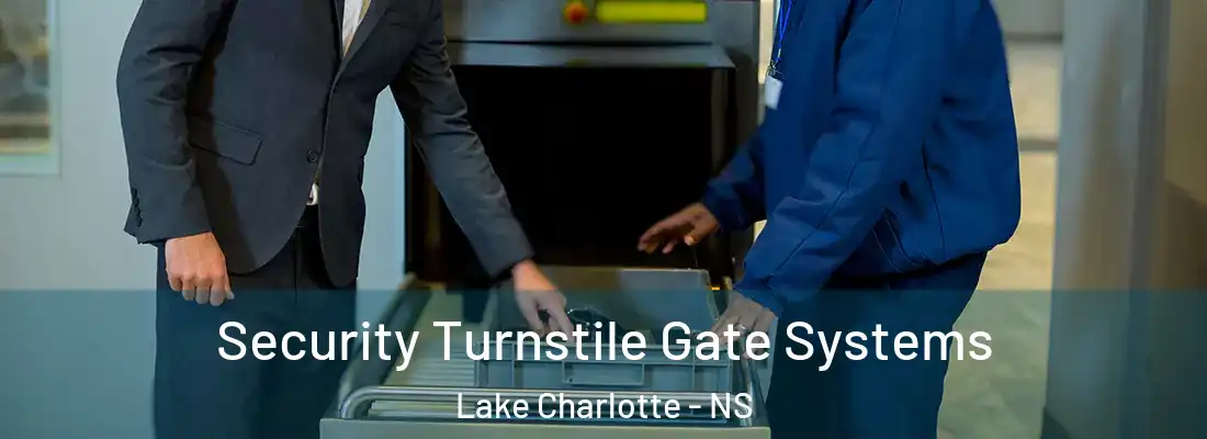 Security Turnstile Gate Systems Lake Charlotte - NS