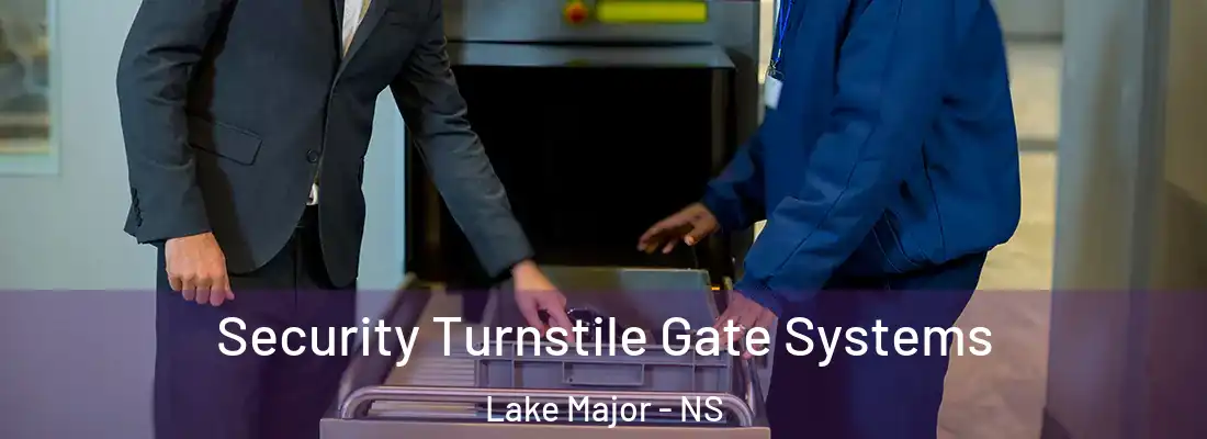 Security Turnstile Gate Systems Lake Major - NS