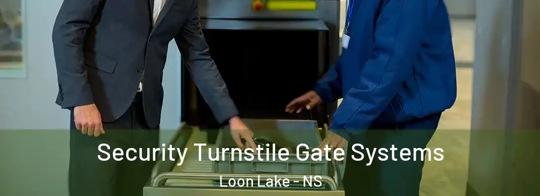Security Turnstile Gate Systems Loon Lake - NS