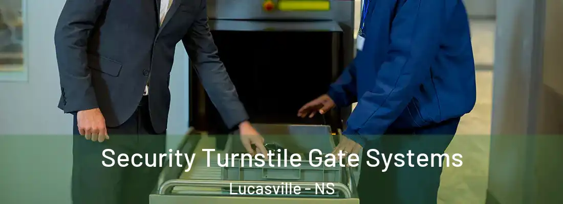 Security Turnstile Gate Systems Lucasville - NS